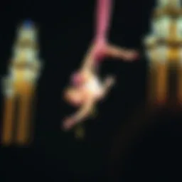 A mesmerizing aerial performance showcasing acrobatics.