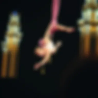 Aerial Acrobatics: A Display of Skill and Grace A mesmerizing aerial performance showcasing acrobatics.