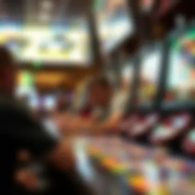 Demographics of sports bettors in New Hampshire