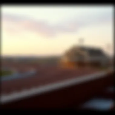 Historic Greyhound Racing Track Overview An overview of the historic greyhound racing track in Iowa, reflecting its significance in the local culture.