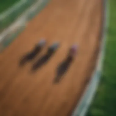 Aerial view of a horse racing track with vibrant colors.