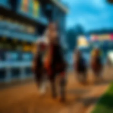 Thrill of the Race A thoroughbred racing down the track